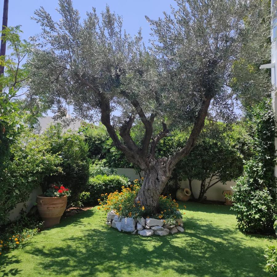 Porto Hydra - Villa Mirani Ermioni Zewnętrze zdjęcie